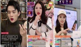 明星补税爆料事件视频播放,揭秘视频播放背后的真相与影响